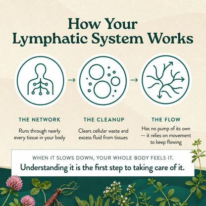 Lymphatic Drainage Supplement