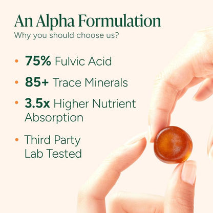 Alpha 10-in-1 Shilajit Gummies