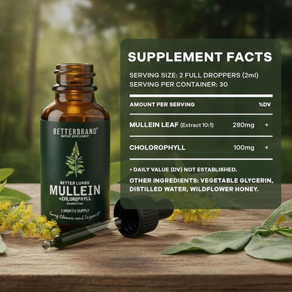 Mullein Leaf & Chlorophyll Drops