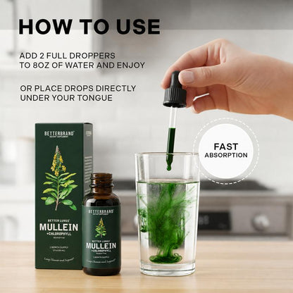Mullein Leaf & Chlorophyll Drops