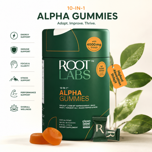 Alpha 10-in-1 Shilajit Gummies