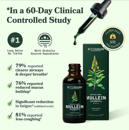 Mullein Leaf & Chlorophyll Drops